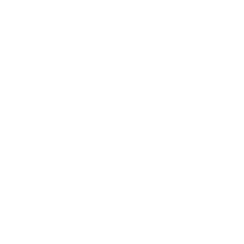 Battle